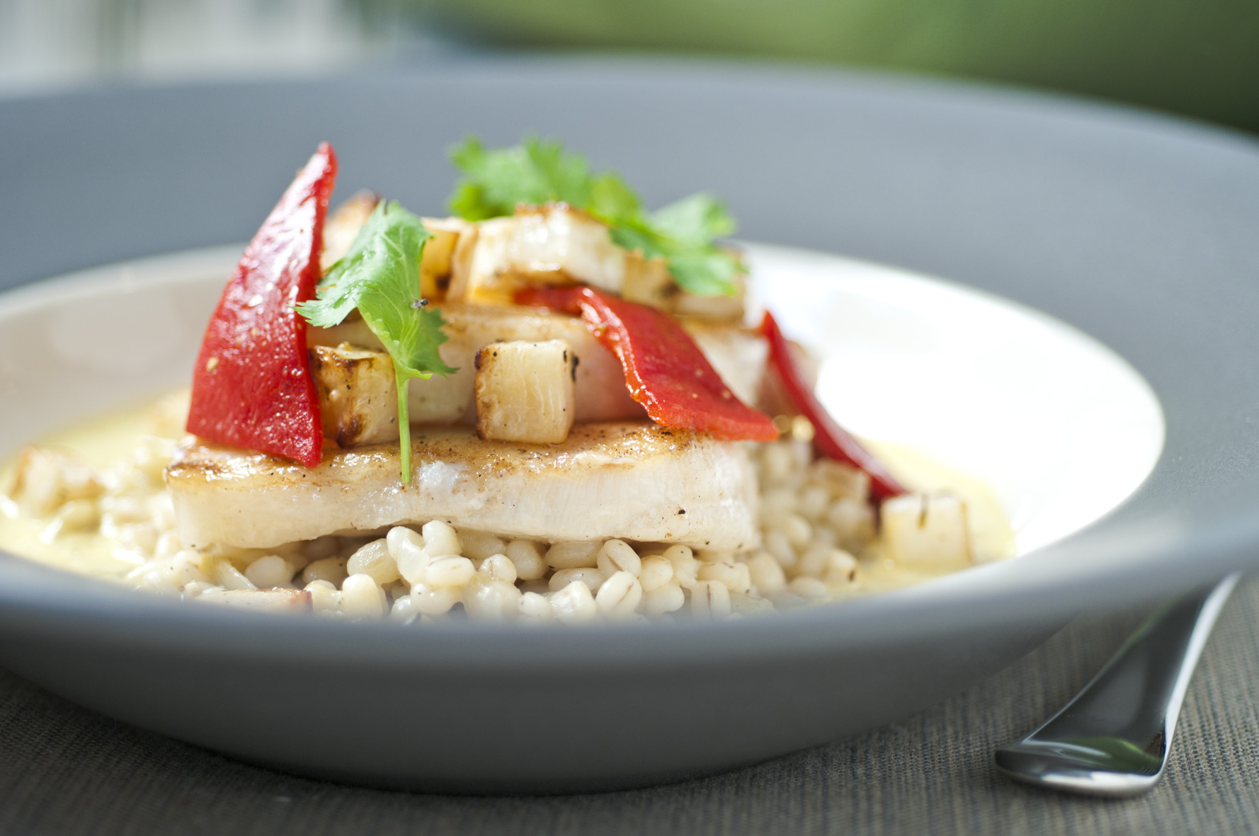 atlantic_cod_barley_risotto