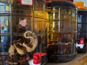 来一盘穿山甲?老挝野生动物贸易猖獗,成潜在疫情温床