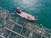 谋求海洋话语权,中国争取《公海条约》秘书处落户厦门