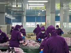 辉立维持“买入” 紫心成长持续深化