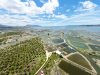 厄尔尼诺升温 东南亚恐迎粮价上涨压力